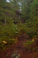 The Path Back To The Cabin